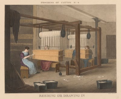 Progress of Cotton: #9 – rákosí nebo vtahování od James Richard Barfoot