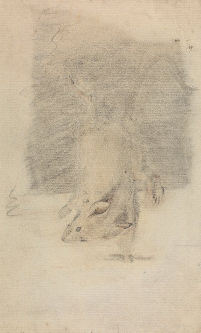 Myš od James Sowerby