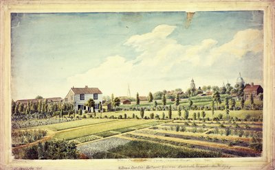 Botanická zahrada Williama Curtise, Lambeth Marsh, Ante 1787, kolem 1787 od James Sowerby