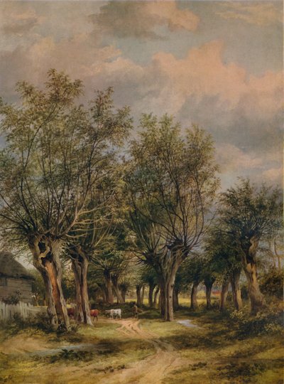 Lane poblíž Norwiche, c1837 od James Stark