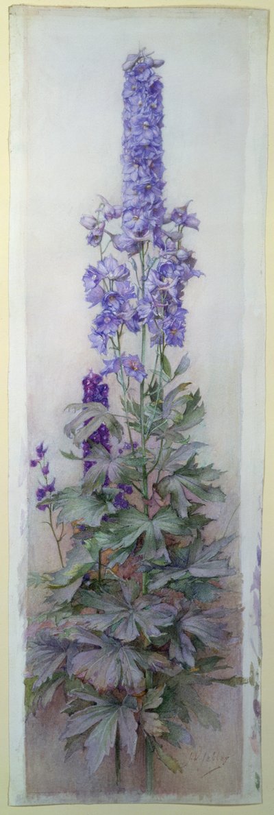 Delphiniums od James Valentine Jelley