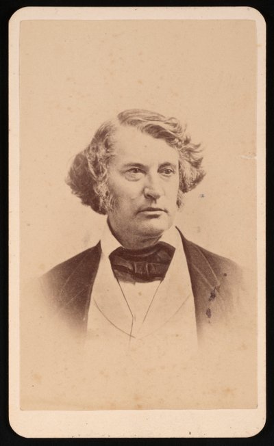 Portrét Charlese Sumnera 1811-1874, před rokem 1874. od James Wallace Black