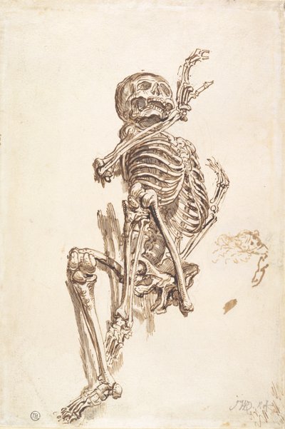 Lidská kostra (pero a inkoust a tužka na papíře) (recto) od James Ward