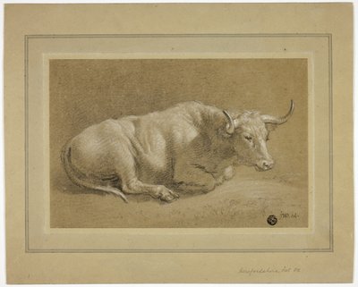 Herefordshire Fat Ox od James Ward