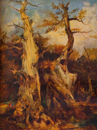 V lese, c19. století od James Ward