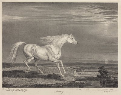 Marengo od James Ward