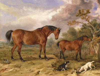 Portrét reformátora, Bluchera, Toryho a jesličky, majetek Rowlanda Alstona, Esq., M.P. [1836, Royal Academy of Arts, Londýn, katalog výstavy] od James Ward