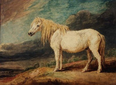 Shetlandský poník od James Ward