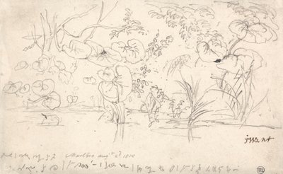 Studie rostlin, 2. srpna 1815 od James Ward
