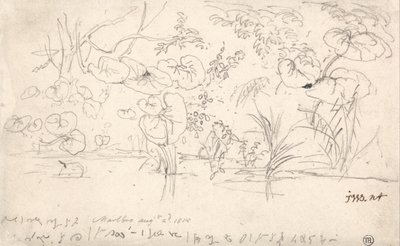 Studie o rostlinách, 2. srpna 1815 od James Ward