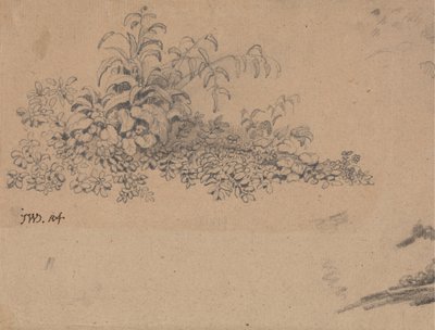 Studium podrostu od James Ward