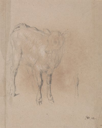 Studie tele od James Ward