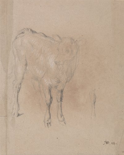 Studie telete od James Ward
