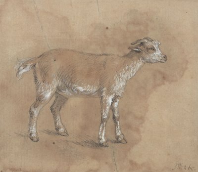 Studie dítěte od James Ward