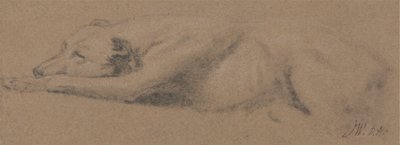 Studie spícího psa od James Ward