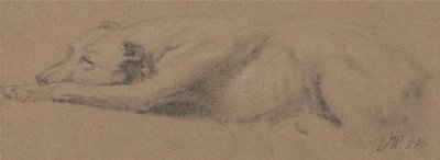 Studie spícího psa od James Ward