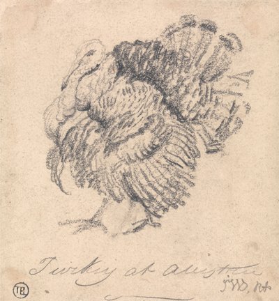 Studie o Turecku od James Ward