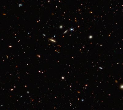 ASPIRE Cosmic Filament (NIRCam Image) od James Webb Space Telescope (NASA)
