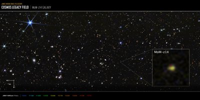 Galaxie MoM-z14 v poli COSMOS (snímek z kamery NIRCam) od James Webb Space Telescope (NASA)