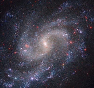NGC 5584 (Webb NIRCam + Hubble WFC3) od James Webb Space Telescope (NASA)