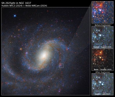 SN 2025pht v NGC 1637 od James Webb Space Telescope (NASA)