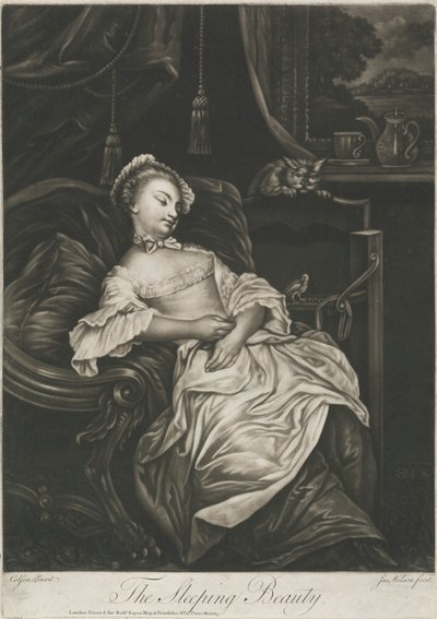 Spící kráska od James Wilson