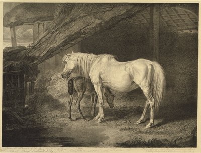 Primrose and Foal, from Celebated Horses, soubor čtrnácti závodních tisků vydaných umělcem, 1823-24 od James after Ward