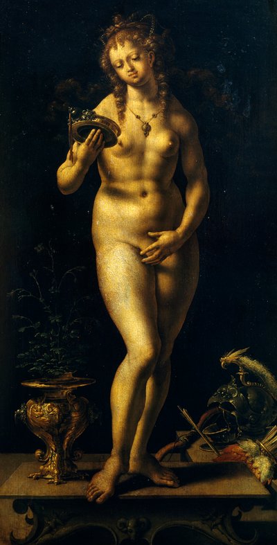 Venuše (olej na panelu) od Jan (c.1472 c.1533) Gossaert