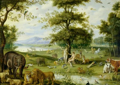 Adam a Eva v zahradě Eden, cca 1600 (olej na desce) od Jan (studio of) Brueghel
