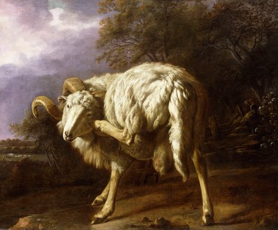 Beran v zalesněné krajině, od Jan Baptist Weenix