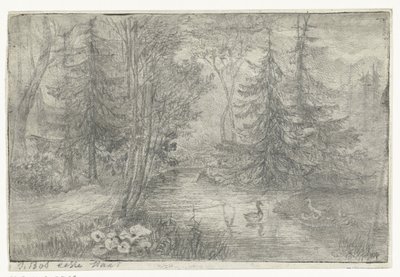 Lesní rybník s kachnami od Jan Bos Wz. (signed by artist)
