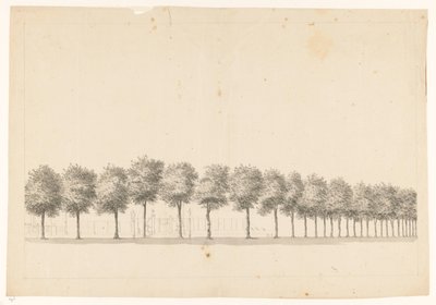 Bomenallee v Batavia od Jan Brandes
