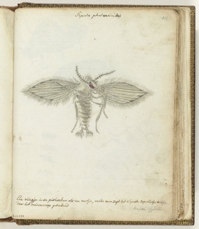 létat od Jan Brandes