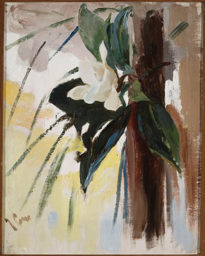 Magnolie od Jan Ciągliński
