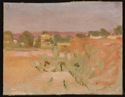 Rosa Landschaft mit Kakteen. Aus einer Reise nach Indien od Jan Ciągliński
