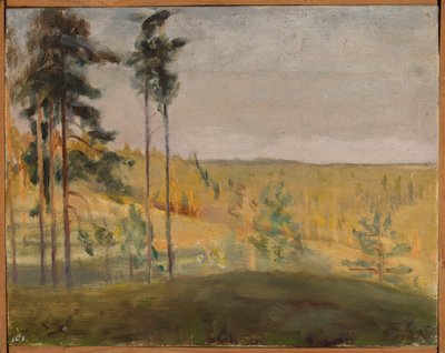 Terioki – Finsko od Jan Ciągliński