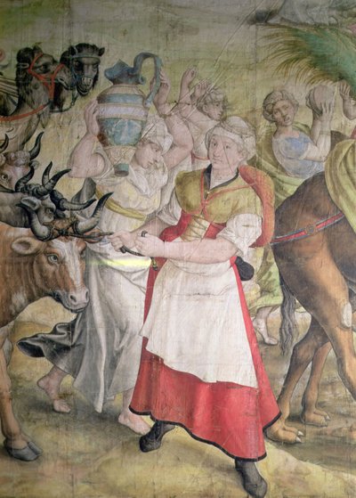 Kampaň císaře Karla V od Jan Cornelisz Vermeyen