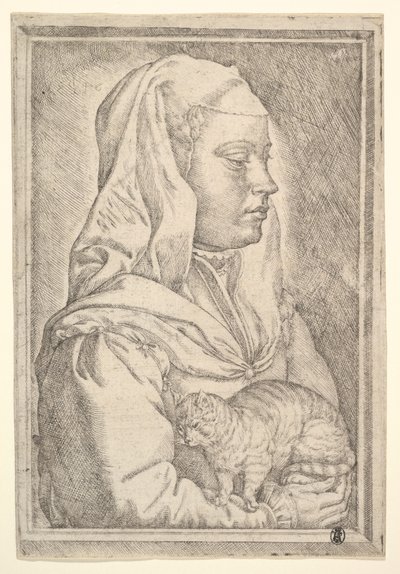 Dívka s kočkou, 1546. od Jan Cornelisz Vermeyen