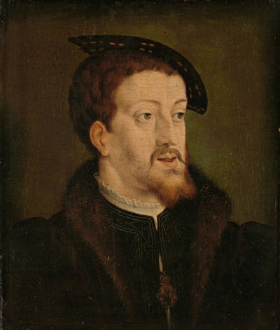Portrét Karla V., císaře Svaté říše římské, c. 1530 od Jan Cornelisz Vermeyen