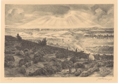 Heath poblíž Laren od Jan Fekkes (signed by artist)
