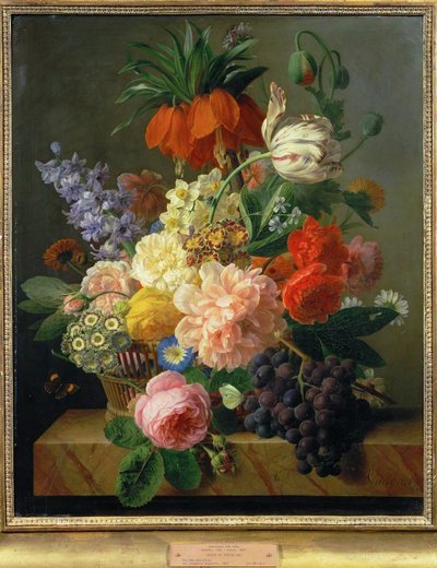 Květiny a ovoce ... (malba na plátně) od Jan Frans van Dael