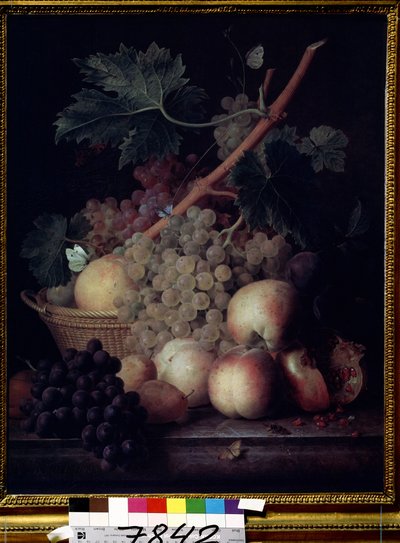 ""Ovoce"" Zátiší z broskví, hroznů, hrušek a granátových jablek s motýly a vosou. Obraz Jeana Francoise van Daela (1764-1840) 1808 Puškinovo muzeum, Moskva od Jan Frans van Dael