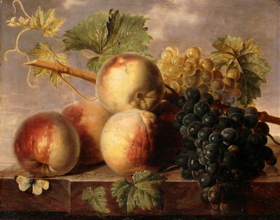 Broskve a hrozny s bílým zelím na mramorové římse, od Jan Frans van Dael