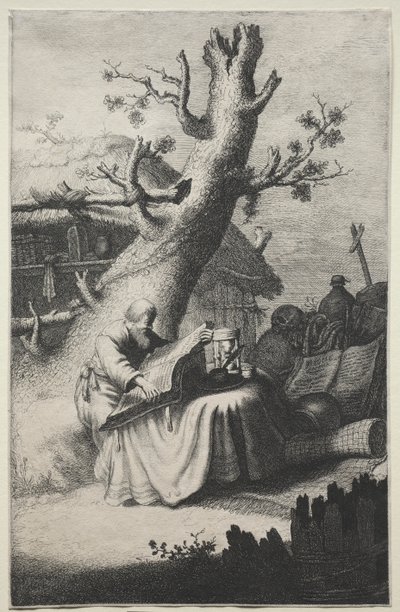 Svatý Jeroným od Jan Georg van Vliet