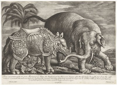 Olifant een neushoorn Skutečné zobrazení dvou velkých mistrovských děl přírody, slona a nosorožce (název na předmětu) od Jan Griffier (I)