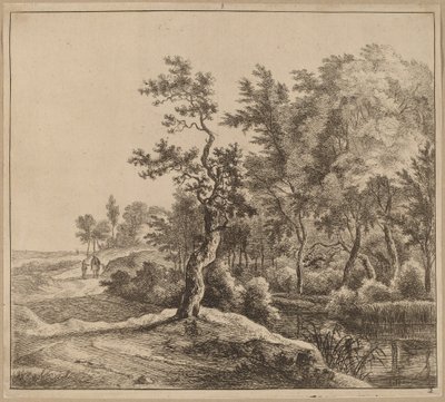 Krajina s klikatou cestou od Jan Hackaert