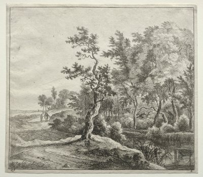 The Serpentine Road od Jan Hackaert