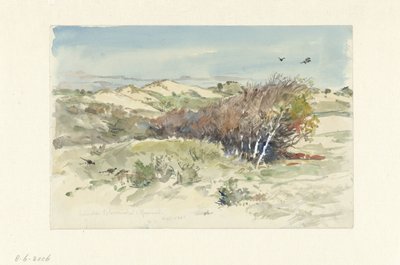Dunová krajina mezi Bloemendaal a IJmuiden od Jan Hoynck van Papendrecht
