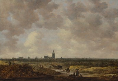 Pohled na Haag od severozápadu, 1647. od Jan Josephsz van Goyen