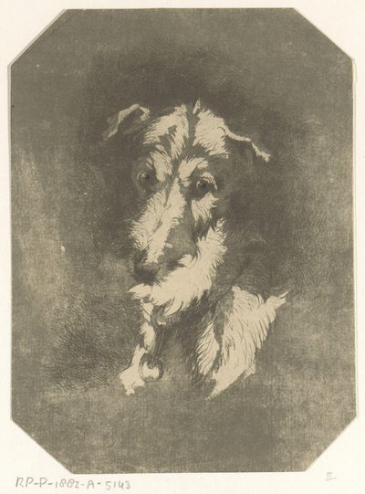 Hlava chrta od Jan Karel Jacob de Jonge